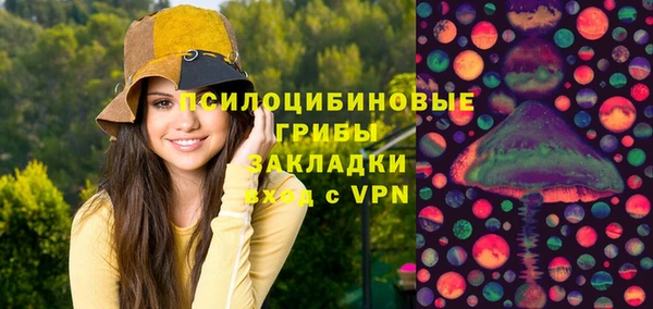 спиды Медвежьегорск