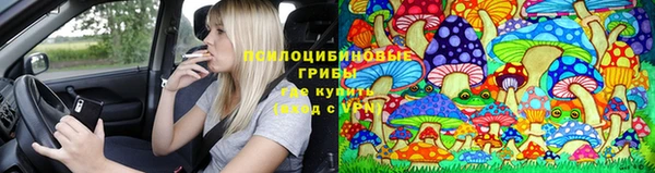 герыч Мегион