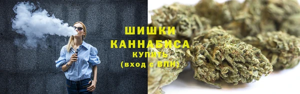 МДПВ Медногорск