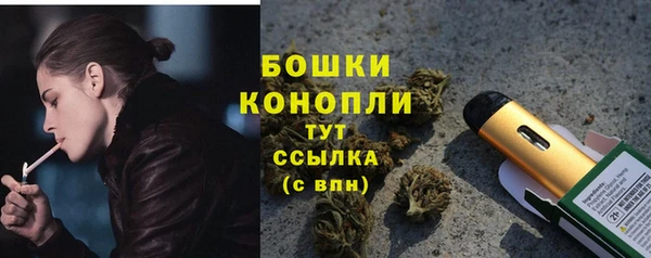 герыч Мегион