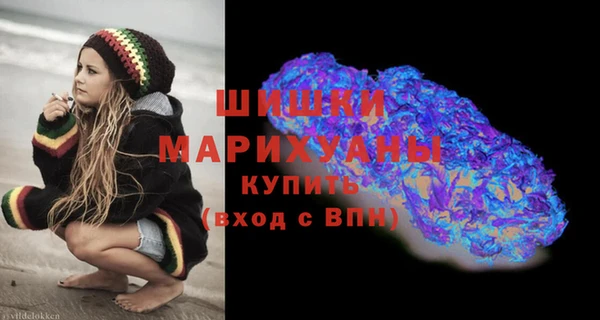 герыч Мегион