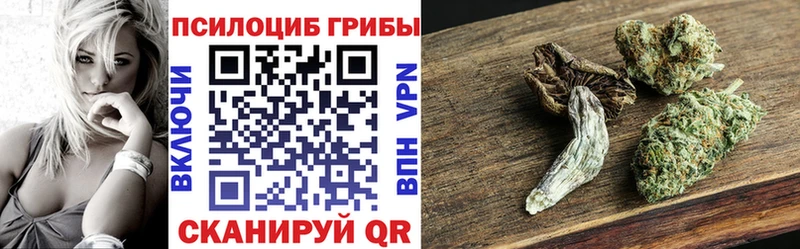 Псилоцибиновые грибы ЛСД  Купить закладки  Нязепетровск 